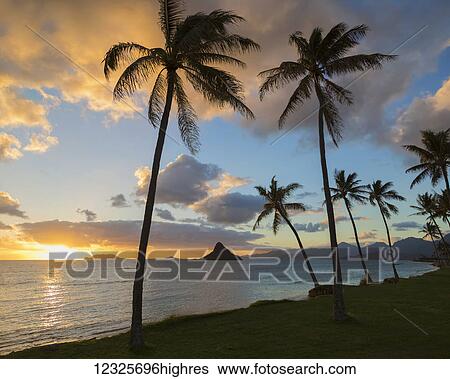Stock Photograph - Sunrise at Kualoa Beach Park overlooking Chinaman's Hat; Kaneohe, Oahu, Hawaii, United States of America. Fotosearch
