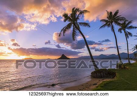 Sunrise at Kualoa Beach Park overlooking Chinaman's Hat; Kualoa, Oahu, Hawaii, United States of America View Large Photo Image Stock Photograph - Sunrise at Kualoa Beach Park overlooking Chinaman's Hat; Kualoa, Oahu, Hawaii, United States of America. Fotosearch
