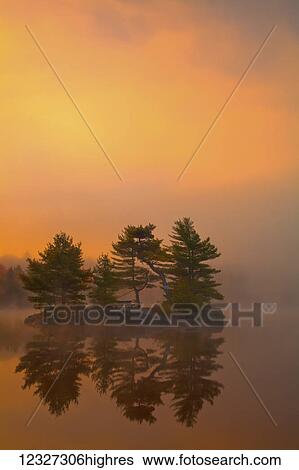 Sunrise colours with autumn morning mists at Dollar Lake, Dollar Lake Provincial Park; Nova Scotia, Canada View Large Photo Image Stock Photograph - Sunrise colours with autumn morning mists at Dollar Lake, Dollar Lake Provincial Park; Nova Scotia, Canada. Fotosearch