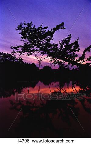 Stock Photograph - Sunset with lake and trees. Fotosearch