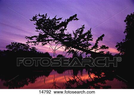 Stock Image - Sunset with river and trees. Fotosearch