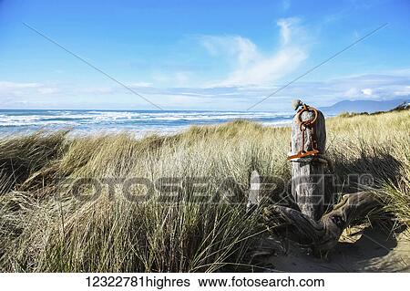 Stock Photograph - Tall grass blowing on the beach with a view of waves in the blue ocean, the horizon, and mountains in the coastline. Fotosearch