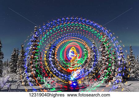 The Aurora Borealis dances over the top of a vibrant spiral light painting, moonlight casting shadows on s0w covered spruce trees on a clear winter night, interior Alaska; Gakona, Alaska, United States of America View Large Photo Image Stock Photograph - The Aurora Borealis dances over the top of a vibrant spiral light painting, moonlight casting shadows on s0w covered spruce trees on a clear winter night, interior Alaska; Gakona, Alaska, United States of America. Fotosearch