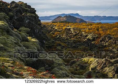 The autumn colours in Thingvellir National Park; Iceland View Large Photo Image Stock Photograph - The autumn colours in Thingvellir National Park; Iceland. Fotosearch