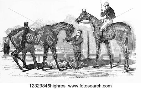The Illustrated London News etching from 1854. The Doncaster winners, St Ledger Knight of St George and Doncaster cup Virago View Large Photo Image Stock Photograph - The Illustrated London News etching from 1854. The Doncaster winners, St Ledger Knight of St George and Doncaster cup Virago. Fotosearch