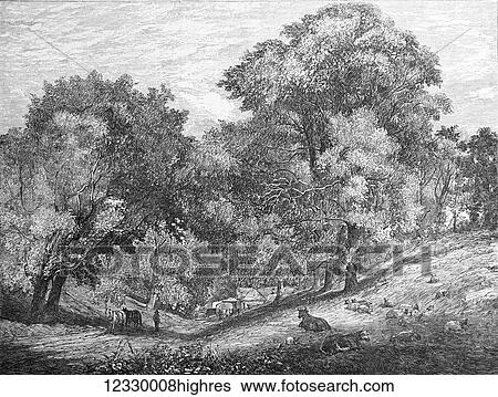 The Illustrated London News etching from 1854. Ols English farmstead, countryside view with animals and farmhouse View Large Photo Image Stock Photograph - The Illustrated London News etching from 1854. Ols English farmstead, countryside view with animals and farmhouse. Fotosearch