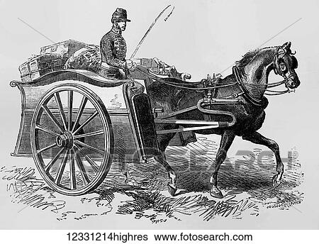 The Illustrated London News etching from 1854. Patent Military Foraging cart, horse, whip View Large Photo Image Stock Photograph - The Illustrated London News etching from 1854. Patent Military Foraging cart, horse, whip. Fotosearch