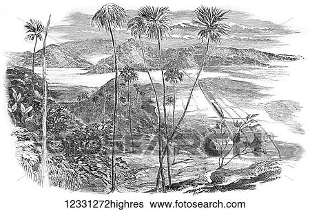 Stock Photograph - The Illustrated London News etching from 1854. The great Indian Peninsula railway. The view from Sion Hill of the railway crossing the marsh. Fotosearch