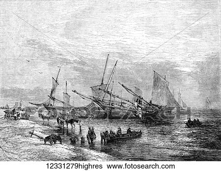 The Illustrated London News etching from 1854. The Lowestoft herring fishery, sailing boats and fishermen on the neach with horses View Large Photo Image Stock Photograph - The Illustrated London News etching from 1854. The Lowestoft herring fishery, sailing boats and fishermen on the neach with horses. Fotosearch