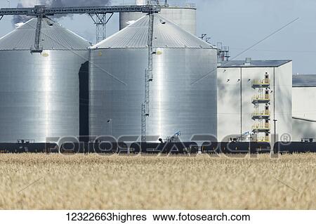 Stock Photograph - The Poet Biorefinery, an ethanol producer, and cornfield, near Groton; South Dakota, United States of America. Fotosearch