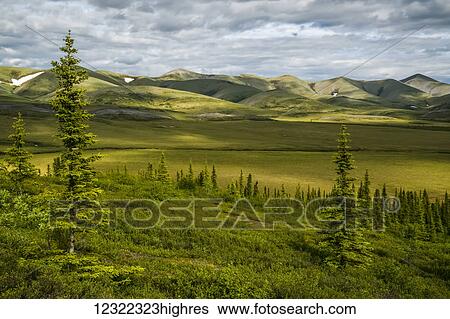 Stock Photograph - The Richardson Mountains at the Arctic Circle; Yukon, Canada. Fotosearch