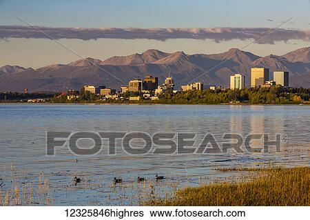 Stock Photograph - The setting sun reflects off of office buildings in downtown Anchorage, seen from Earthquake Park, ducks swimming through the golden grass along the shoreline in the foreground, the Chugach Mountains in the background, South-central Alaska; Anchorage,.... Fotosearch