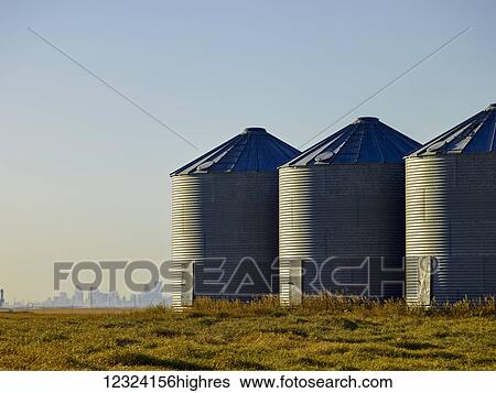 Three metal silos on a farm field with the skyline of a city in the distance, near Calgary; Alberta, Canada View Large Photo Image Stock Photograph - Three metal silos on a farm field with the skyline of a city in the distance, near Calgary; Alberta, Canada. Fotosearch