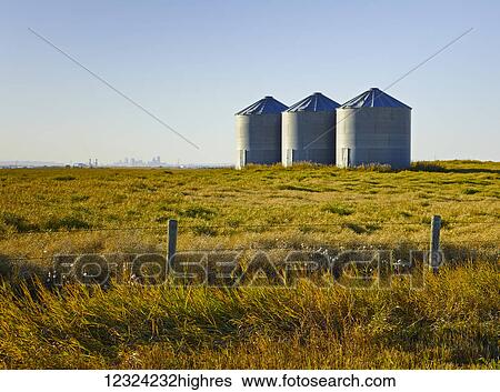 Stock Photograph - Three metals silos in a farm field; Alberta, Canada. Fotosearch