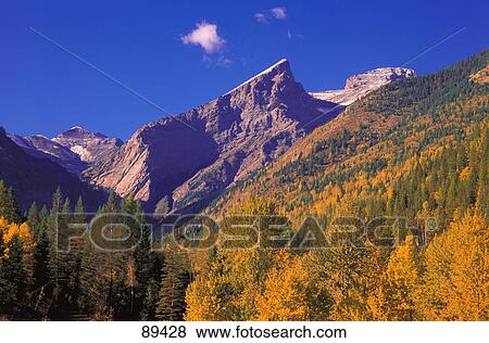 Three sisters in Autumn Fernie British Columbia View Large Photo Image Stock Photo - Three sisters in Autumn Fernie British Columbia. Fotosearch