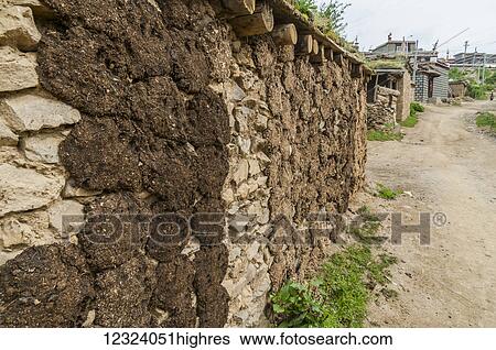 Tibetan house's wall, the locals stick cow's feces to dry it and use it as a combustible for heating water or food; Litang, Sichuan, China View Large Photo Image Stock Photograph - Tibetan house's wall, the locals stick cow's feces to dry it and use it as a combustible for heating water or food; Litang, Sichuan, China. Fotosearch