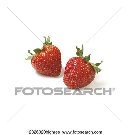 Two ripe strawberries on a white background View Large Photo Image Stock Photograph - Two ripe strawberries on a white background. Fotosearch
