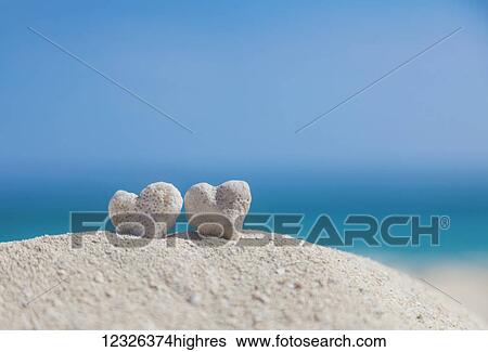 Two white heart shaped coral rocks placed together on sand at the beach; Honolulu, Oahu, Hawaii, United States of America View Large Photo Image Stock Photograph - Two white heart shaped coral rocks placed together on sand at the beach; Honolulu, Oahu, Hawaii, United States of America. Fotosearch