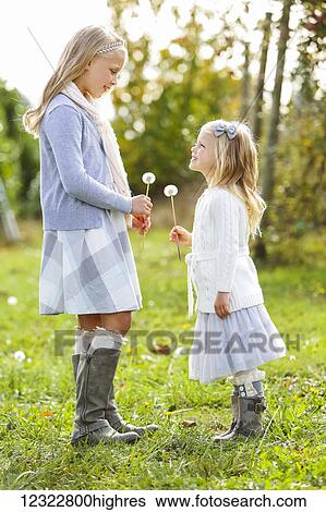 Stock Photograph - Two young girls standing facing one another and holding dandelion seed heads; Washington, United States of America. Fotosearch