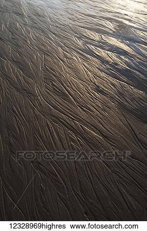 Stock Photograph - Unique patterns of lines on the surface of the wet sand on the tidal flats; Alaska, United States of America. Fotosearch
