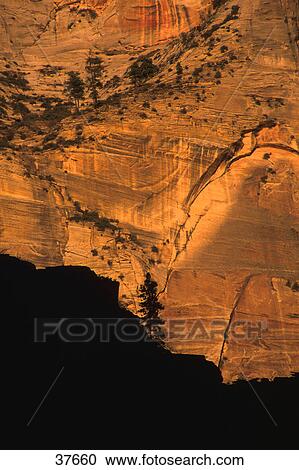 Stock Image - Vertical rock face of canyon wall. Fotosearch