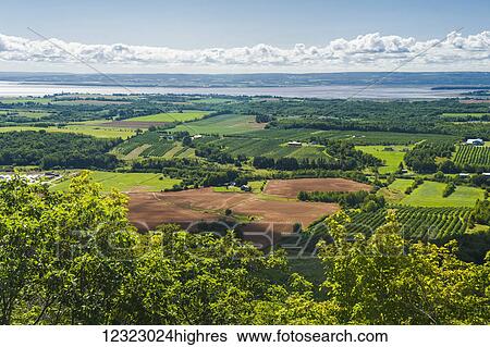 View from Blomidon Lookoff showing farmland, Annapolis Valley; Nova Scotia, Canada View Large Photo Image Stock Photograph - View from Blomidon Lookoff showing farmland, Annapolis Valley; Nova Scotia, Canada. Fotosearch