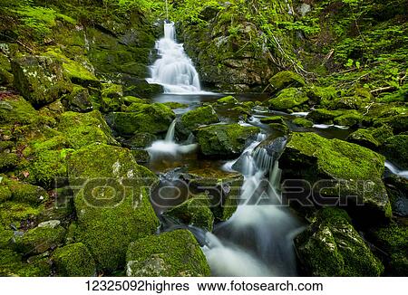 Waterfall and mossy rocks, East branch of Great Village River, near Wentworth Valley; Nova Scotia, Canada View Large Photo Image Stock Photograph - Waterfall and mossy rocks, East branch of Great Village River, near Wentworth Valley; Nova Scotia, Canada. Fotosearch