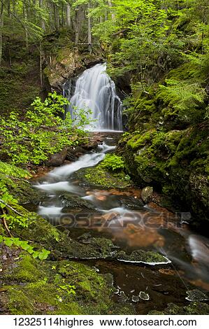 Stock Photograph - Waterfall on Horse Pasture Brook, a protected wilderness area; Wentworth Valley, Nova Scotia, Canada. Fotosearch