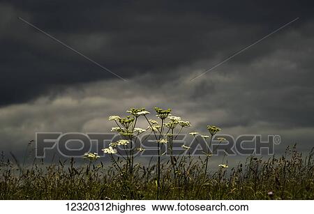 Weather View Large Photo Image Stock Photograph - Weather. Fotosearch