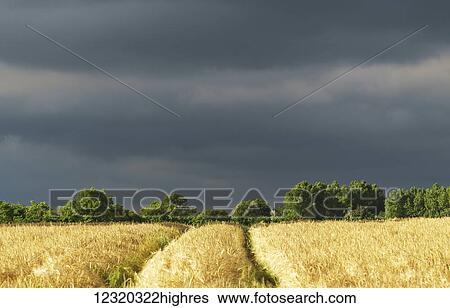 Stock Photograph - Weather. Fotosearch