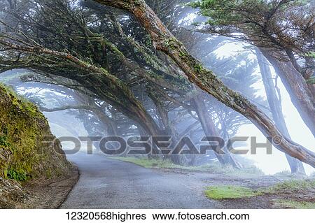Weather View Large Photo Image Stock Photograph - Weather. Fotosearch