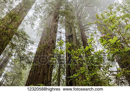 Weather View Large Photo Image Stock Photograph - Weather. Fotosearch