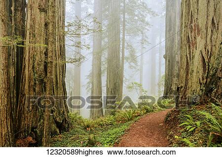Weather View Large Photo Image Stock Photograph - Weather. Fotosearch