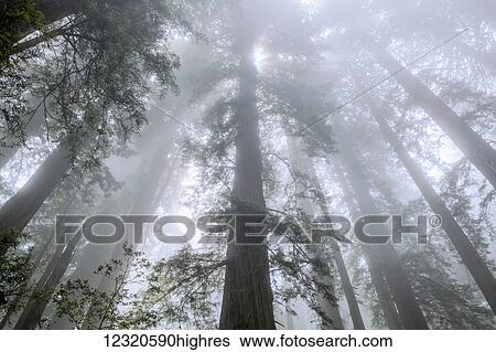 Weather View Large Photo Image Stock Photograph - Weather. Fotosearch