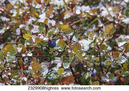 Weather View Large Photo Image Stock Photograph - Weather. Fotosearch