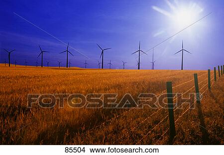 Wind generators on edge of farmer's field View Large Photo Image Picture - Wind generators on edge of farmer's field. Fotosearch