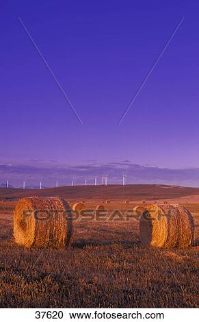 Stock Image - Wind turbines and bales of hay. Fotosearch