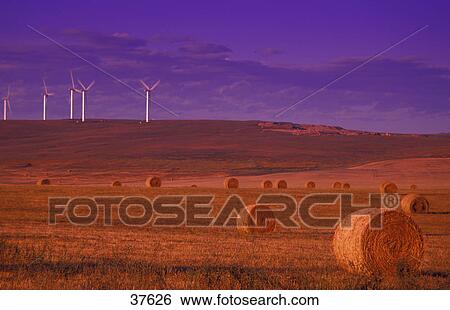 Stock Photograph - Wind turbines and hay bales. Fotosearch