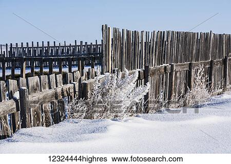 Stock Photograph - Wooden fences in the snow with blue sky; Alberta, Canada. Fotosearch