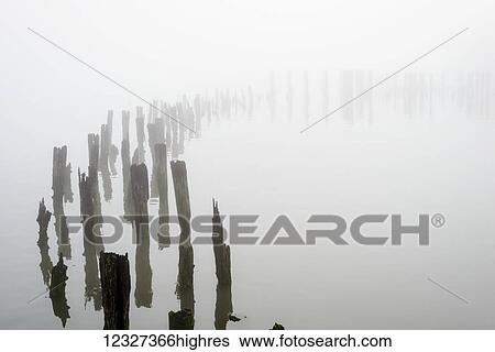 Stock Photograph - Wooden pilings obscured by fog on the Columbia River in Oregon; Astoria, Oregon, United States of America. Fotosearch
