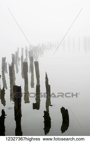 Stock Photograph - Wooden pilings obscured by fog on the Columbia River in Oregon; Astoria, Oregon, United States of America. Fotosearch