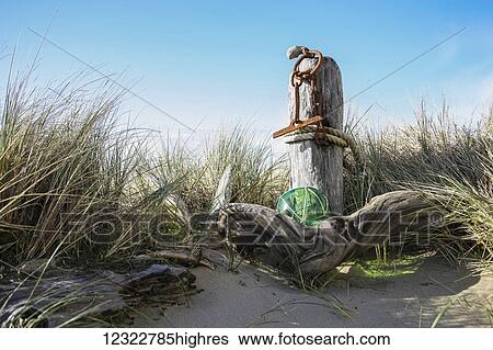 Wooden post with rusted chain on the beach among tall grass and a blue sky View Large Photo Image Stock Photograph - Wooden post with rusted chain on the beach among tall grass and a blue sky. Fotosearch