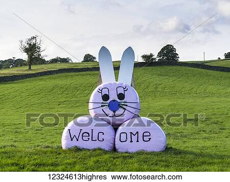 Wrapped hay bales decorated at a bunny rabbit and welcome sign; Yorkshire, England View Large Photo Image Stock Photograph - Wrapped hay bales decorated at a bunny rabbit and welcome sign; Yorkshire, England. Fotosearch