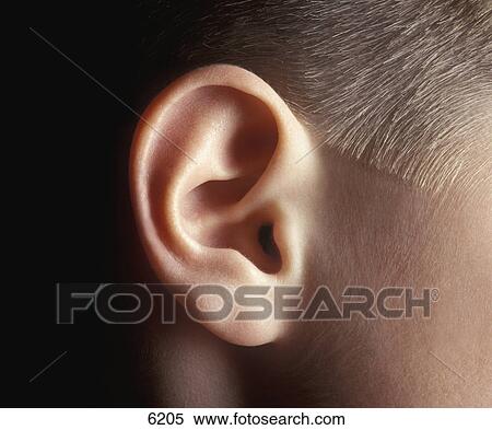 Stock Photography - Young person's ear. Fotosearch