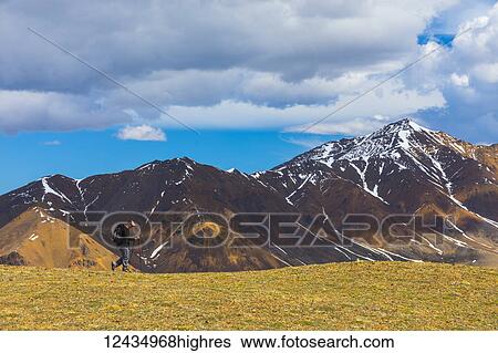 Stock Photograph - A backpacker hikes off-trail along the top of Stony Dome in Denali National Park in early summer; Alaska, United States of America. Fotosearch