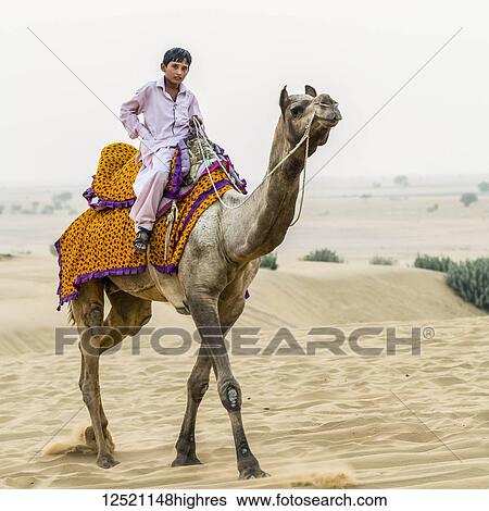 Stock Photograph - A boy on a camel safari; Damodara, Rajasthan, India. Fotosearch
