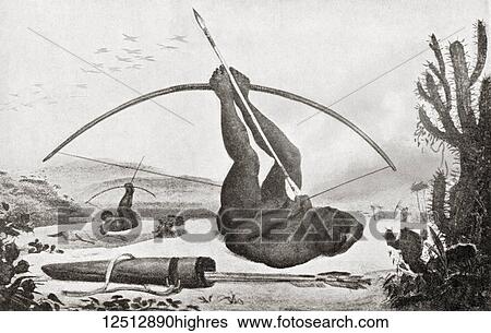 Stock Photograph - A Brazilian Caboclo Indian from the village of So Loureno, showing extreme dexterity with his bow and arrow which he aims whilst lying down and holding the bow in his feet. From Hutchinson's History of the Nations, published 1915.. Fotosearch