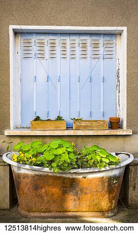 Stock Photograph - A closed window and flowers in an old bathtub in the town of Tournon-d'Agenais, situated in the Lot-et-Garonne, Aquitaine region, in the Southwest of France; Tournon-d'Agenais, Lot-et-Garonne, France. Fotosearch