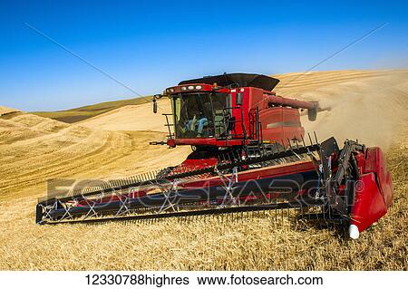 Stock Photograph - A Combine Harvesting Grain In The Palouse Region Of Eastern Washington; Washington, United States Of America. Fotosearch
