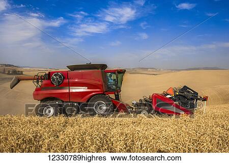 Stock Photograph - A Combine Harvesting Grain In The Palouse Region Of Eastern Washington; Washington, United States Of America. Fotosearch